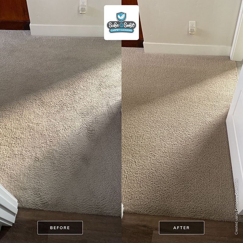 Partnet With Safe N Soft Carpet Cleaning Boise