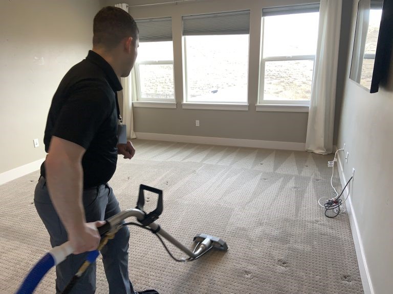 Professional Carpet Cleaners Near Me