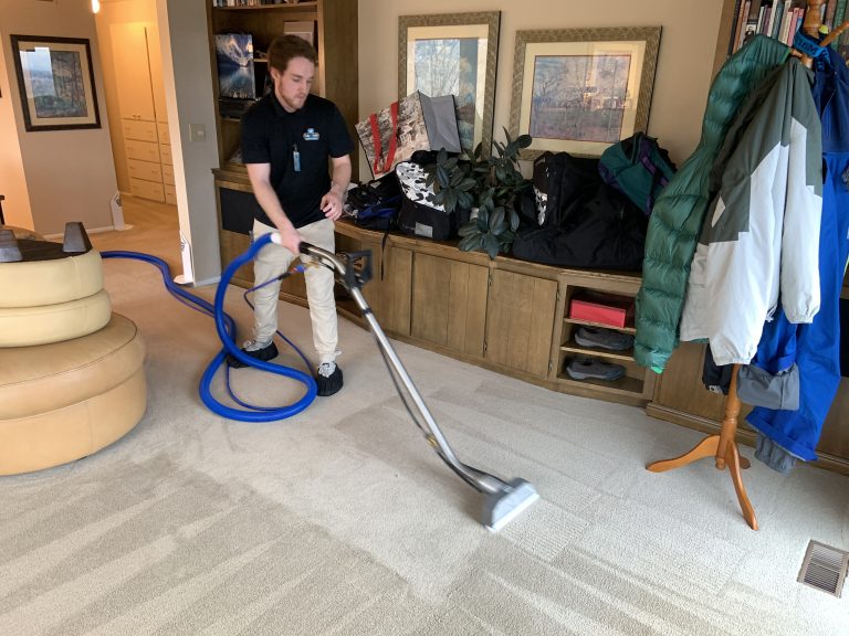 Carpet Cleaners Services Near Me