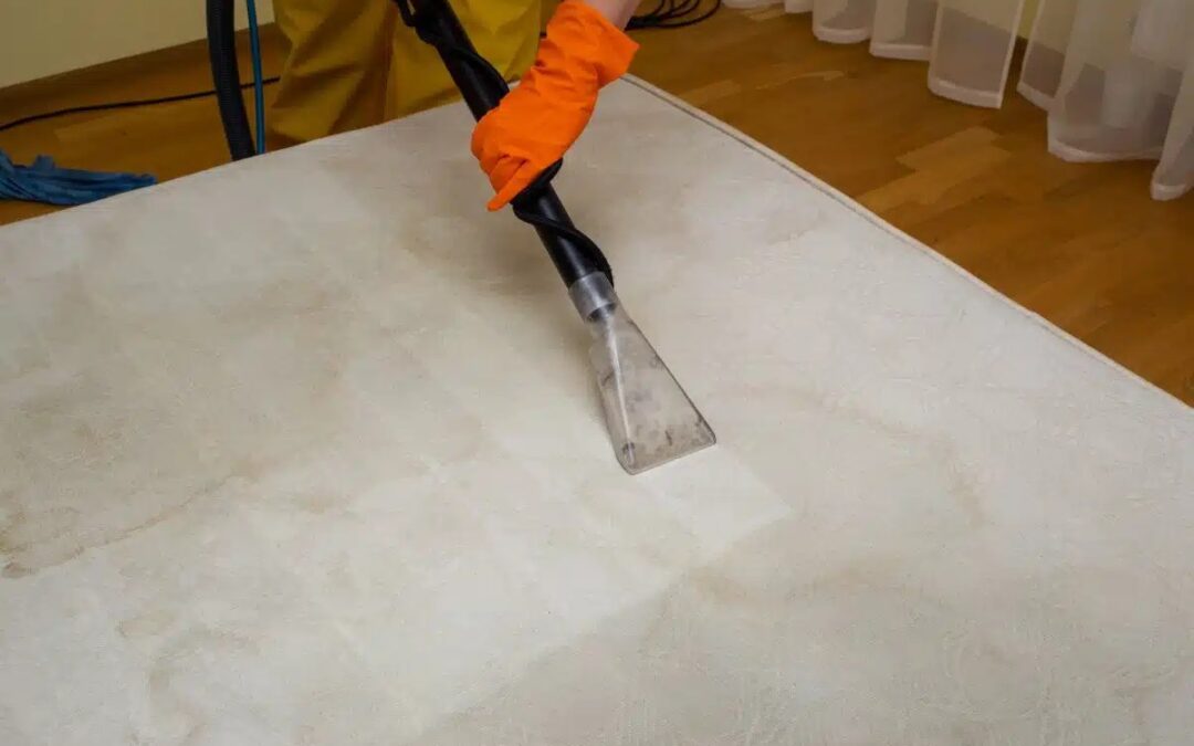 Carpet Dry Cleaning