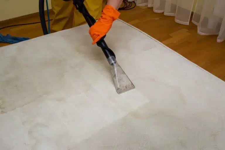 Dry Clean Carpets