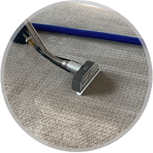 Carpet Cleaning Service Icon