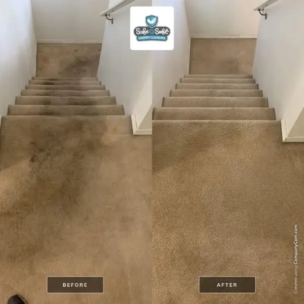 professional carpet cleaning service