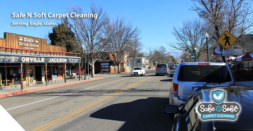 Safe N Soft Carpet Cleaning Boise Serving Eagle, Idaho