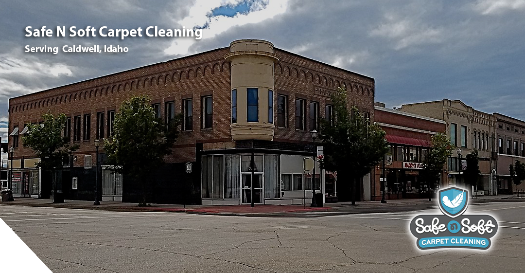 Safe N Soft Carpet Cleaning Boise Serving Boise, Idaho