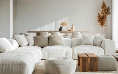 Expert Insights for Superior Upholstery Cleaning Boise Results