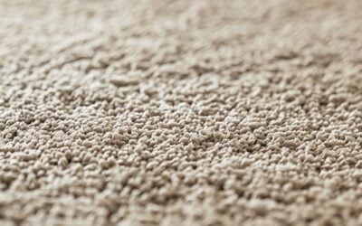 Deep Carpet Cleaning in Boise ID: The Engineering of Healthy Floors