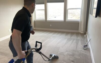 Professional Carpet Cleaners Near Me