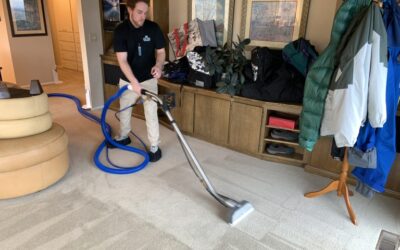 Carpet Cleaners Services Near Me