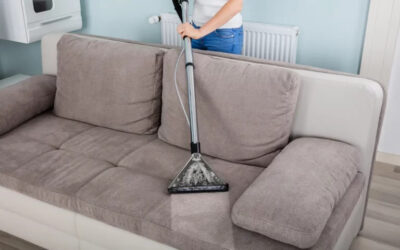 Upholstery Cleaned