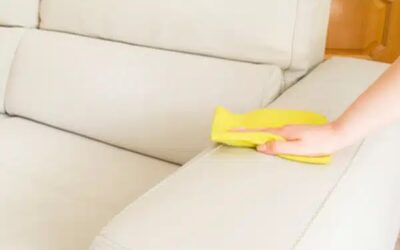 A Healthy Home Is A Happy Home