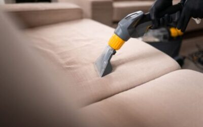 Everything You Need To Know About Professional Upholstery Cleaning