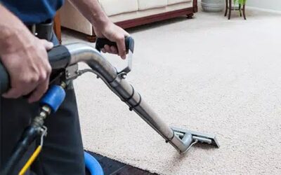 The Impact Of Carpets On Indoor Air Quality
