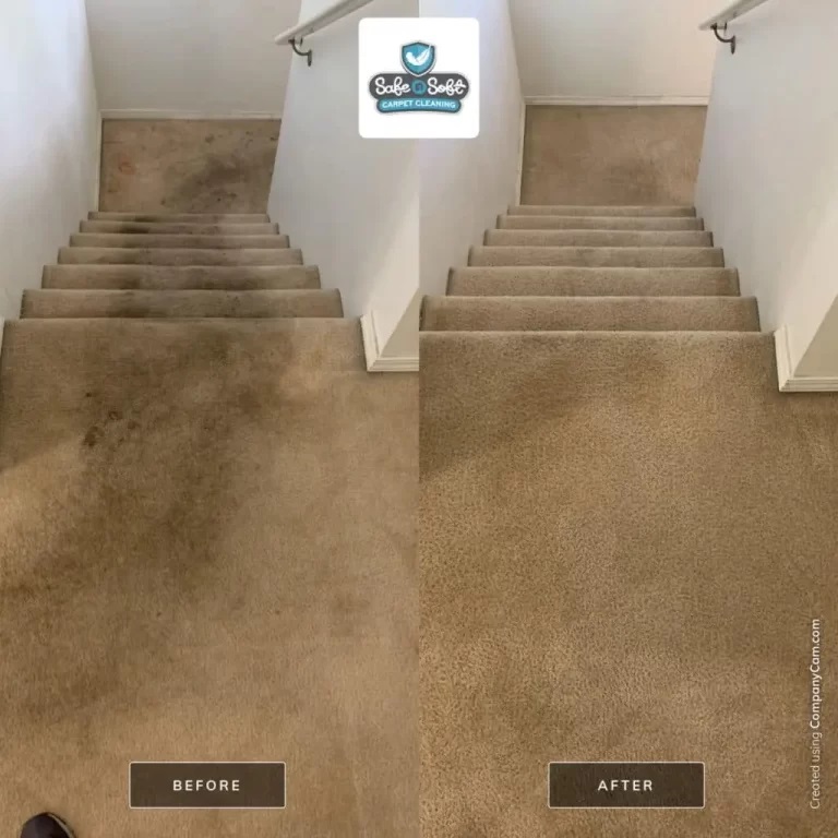 professional carpet cleaning 768x768 1