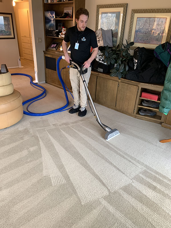 Safe N Soft Carpet Cleaning Boise Healthier Cleaning Services