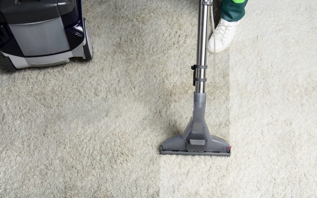 Top Reasons to Book Regular Carpet Cleaning Services