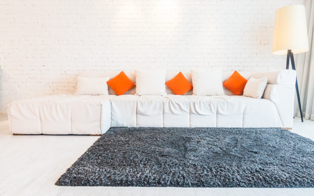 How Boise’s Climate Affects Your Carpets and Their Care