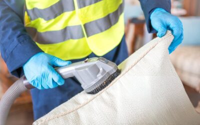 Pet Hair On Upholstery: Effective Removal Techniques And Tips