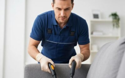 Professional Upholstery Stain Removal in Boise: Why Expert Care Matters