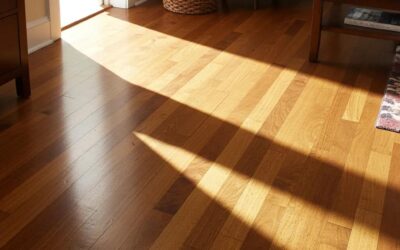 The Winter Survival Guide for Boise Hardwood Floors