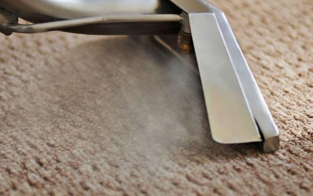 7 Critical Reasons to Deep Clean Your Boise Carpets This Season